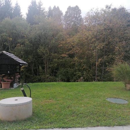 Apartma Gace Semic Dış mekan fotoğraf